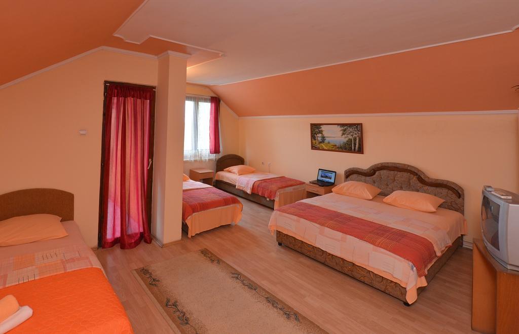 Guest House Vila Bor Nowy Sad Zewnętrze zdjęcie