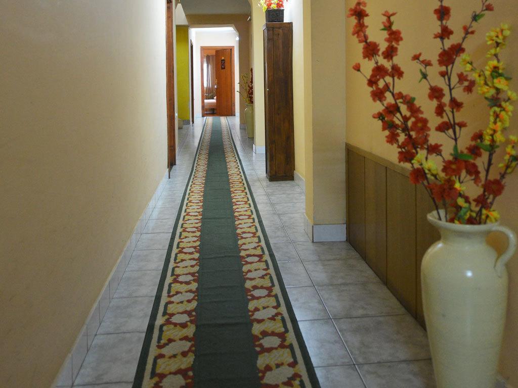 Guest House Vila Bor Nowy Sad Zewnętrze zdjęcie